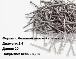 Гвоздь с большой плоской головкой 2.4х20 белый цинк